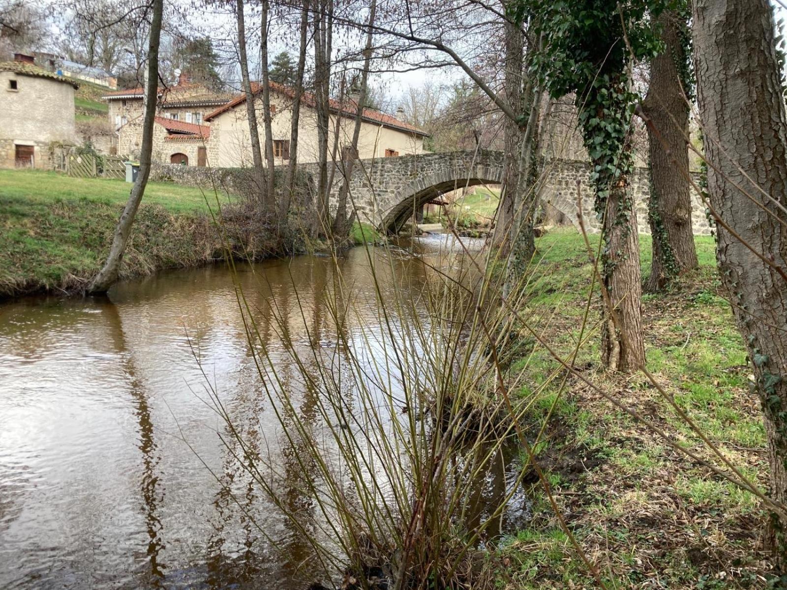 Jolie Maison De Campagne, Compostelle Soleymieux Exteriör bild