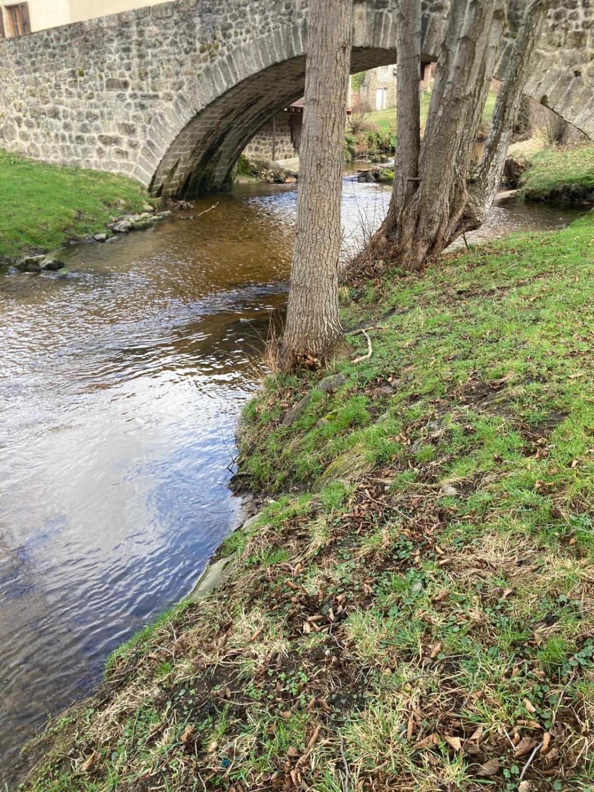 Jolie Maison De Campagne, Compostelle Soleymieux Exteriör bild